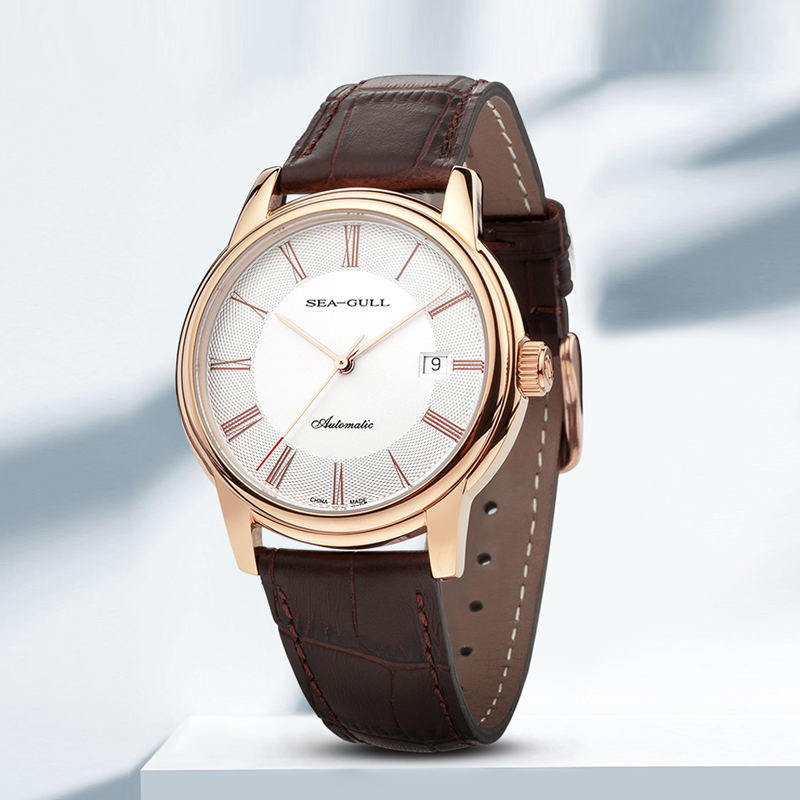 Seagull Men's Mechanical Watch - Omega Watch Constellation review and price