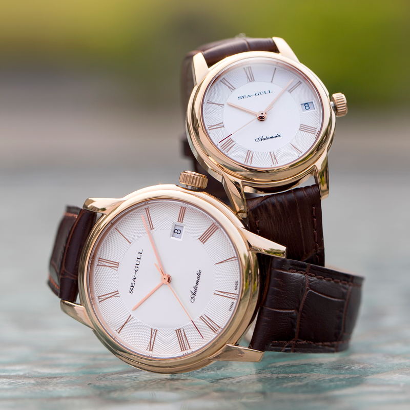 Seagull Men's Mechanical Watch - Omega Watch Constellation review and price